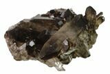 Dark Smoky Quartz Crystal Cluster - Brazil #134954-1